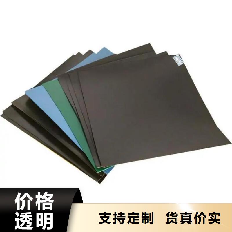 土工膜_矿用阻燃网厂家直营