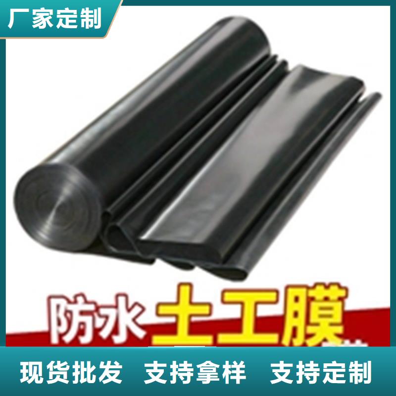 土工膜_矿用阻燃网厂家直营