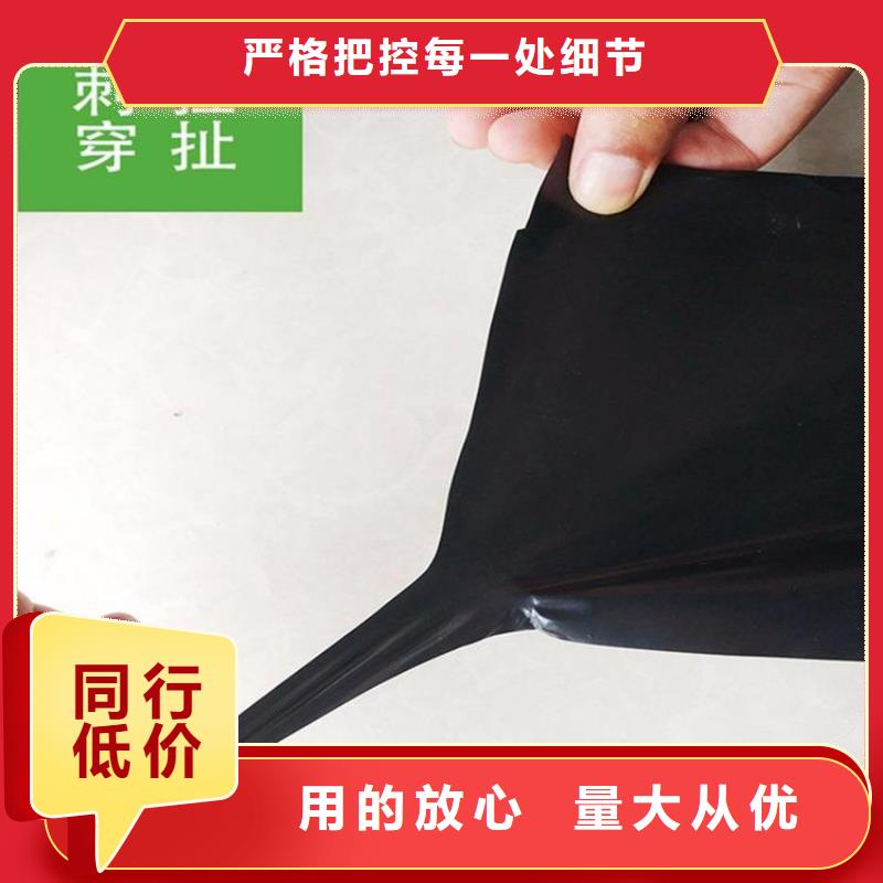 养殖场HDPE土工膜