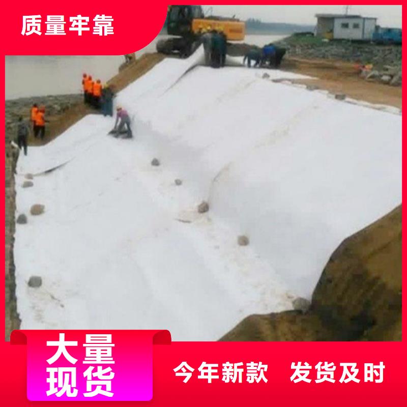 无纺土工布