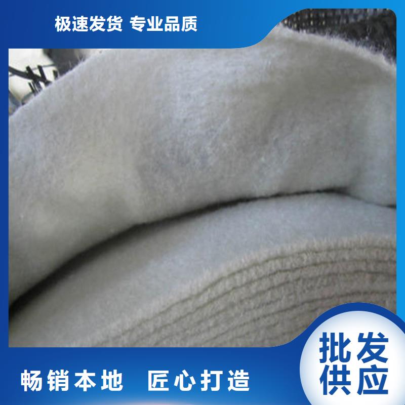 无纺土工布