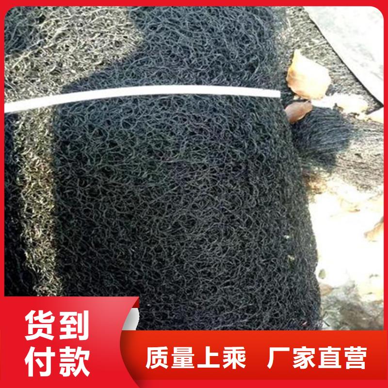 通风降噪丝网土工膜服务至上
