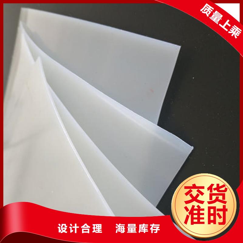 防水板双向土工格栅专业生产厂家