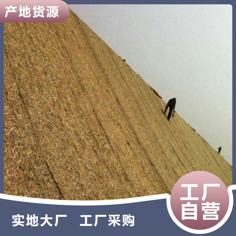 护坡椰丝植草毯环保草毯