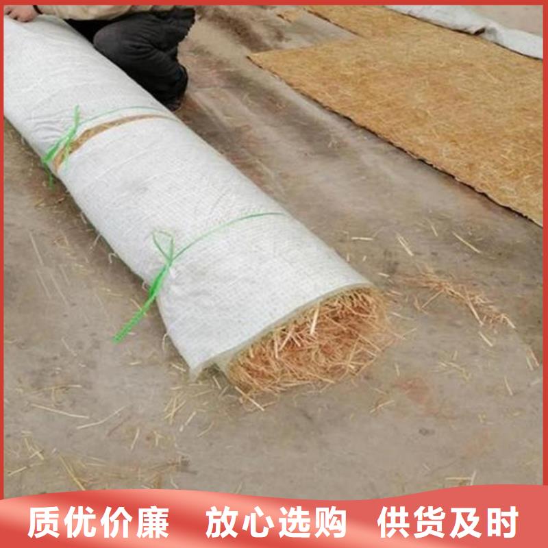 椰丝植生毯抗冲加筋生态毯
