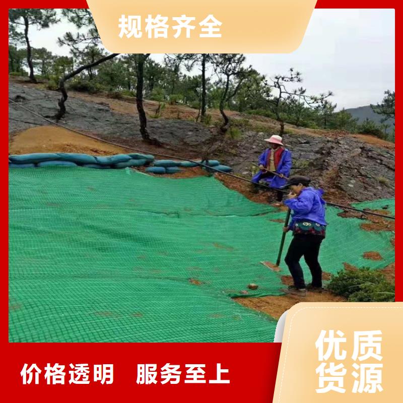 椰丝毯止水条厂家
