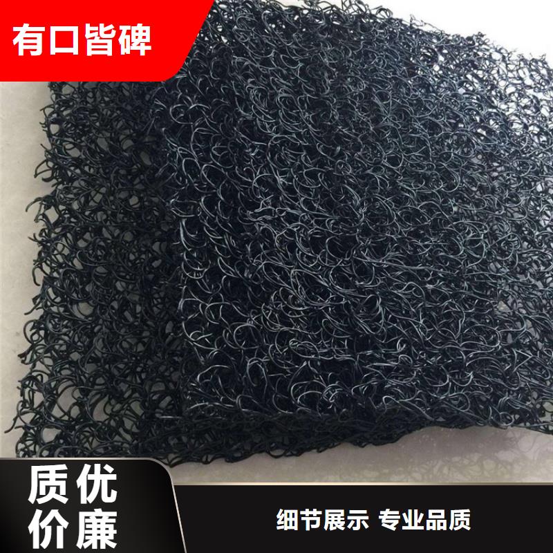 特别行政区塑料渗排水网垫厂家联系方式