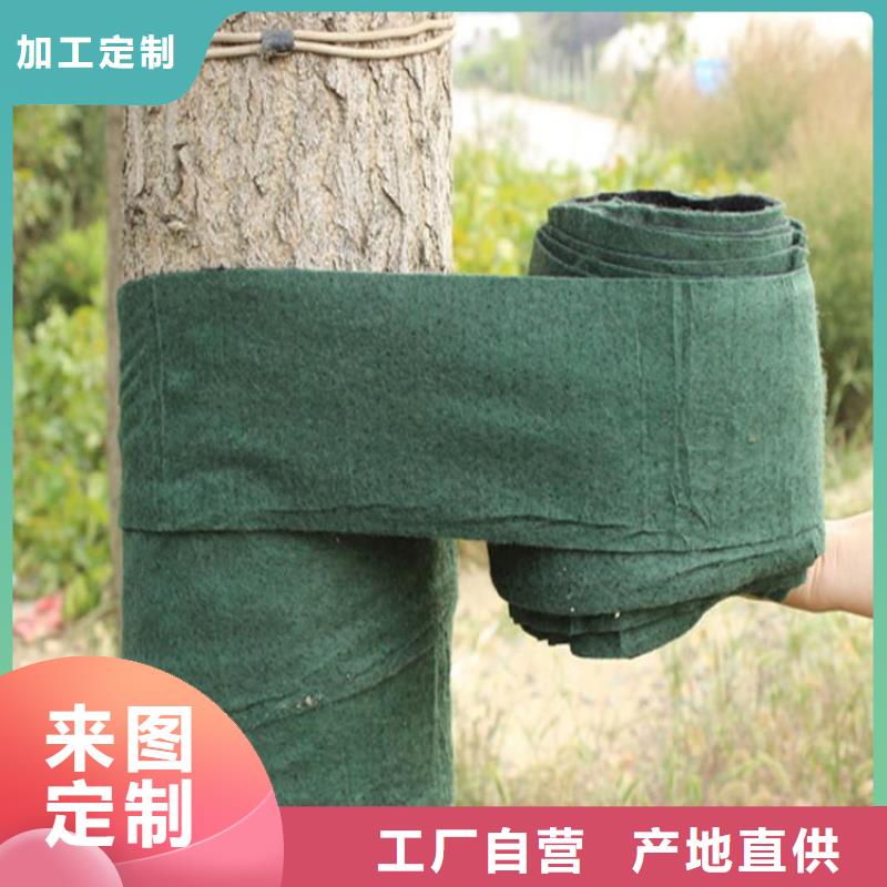 裹树布生态带厂家直发