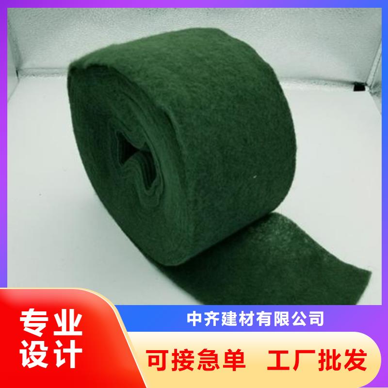 裹树布生态带厂家直发