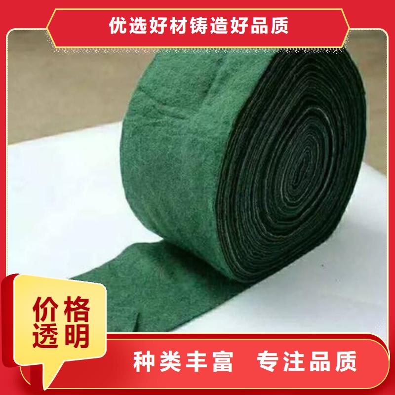 裹树布生态带厂家直发