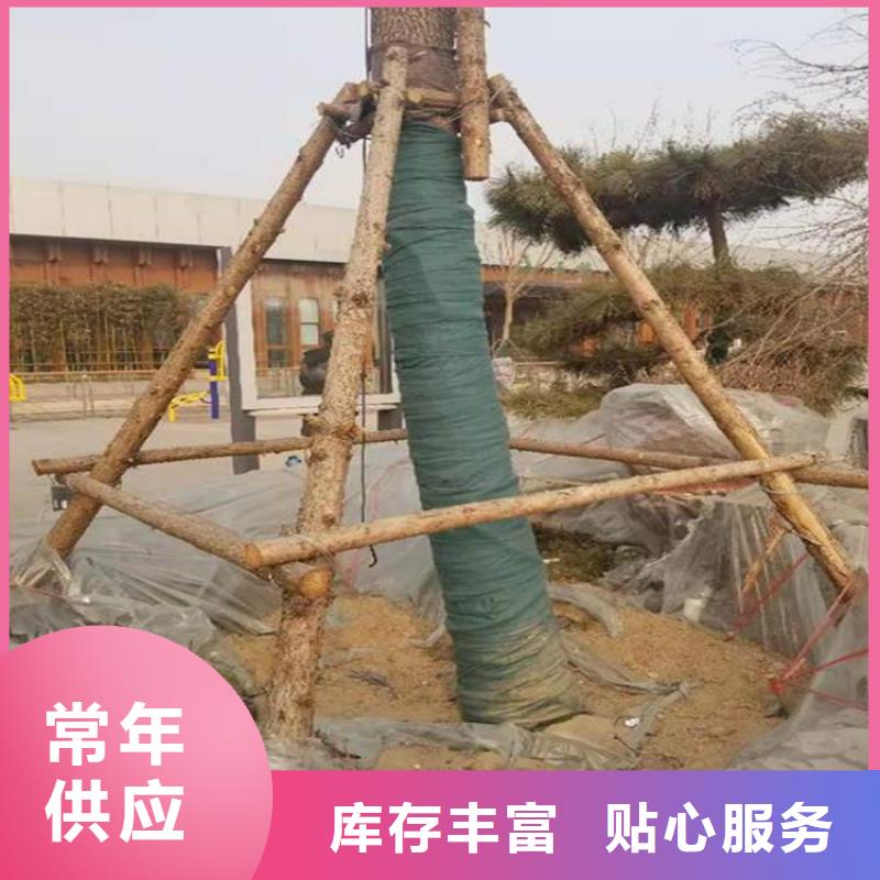 保温保湿棉树木养护带