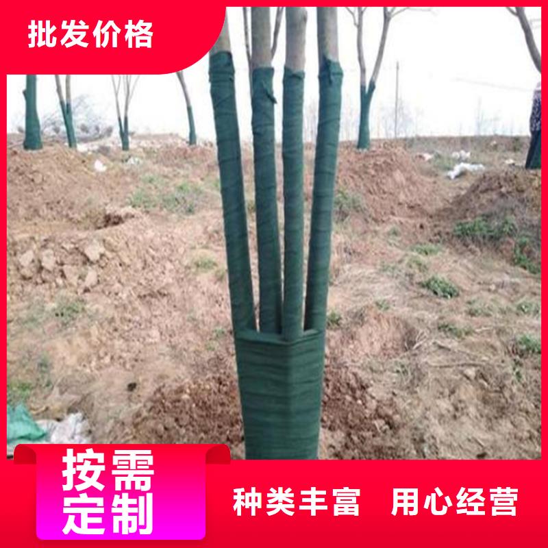 保温保湿棉树木养护带