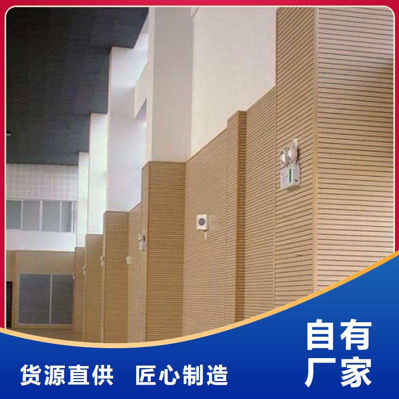 县体育馆吸音改造方案--2025近方案/价格