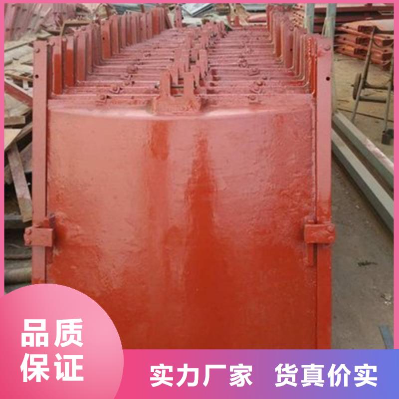 双向铸铁闸门-厂家