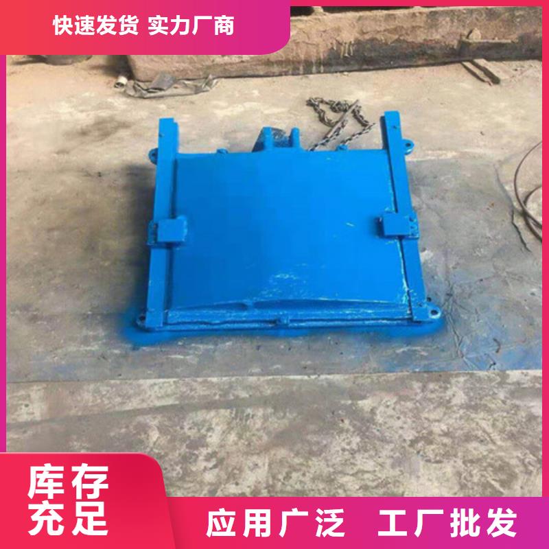 渠道闸门生产公司