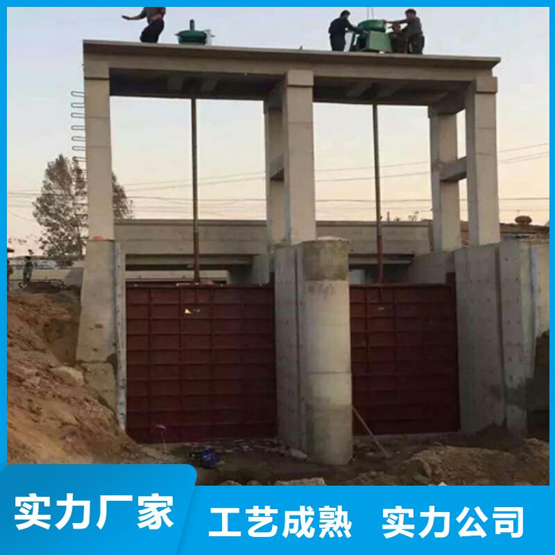 PGZ铸铁闸门批发定制