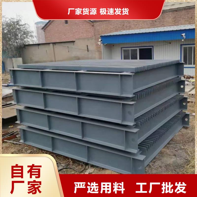 钢制平面闸门原厂直销