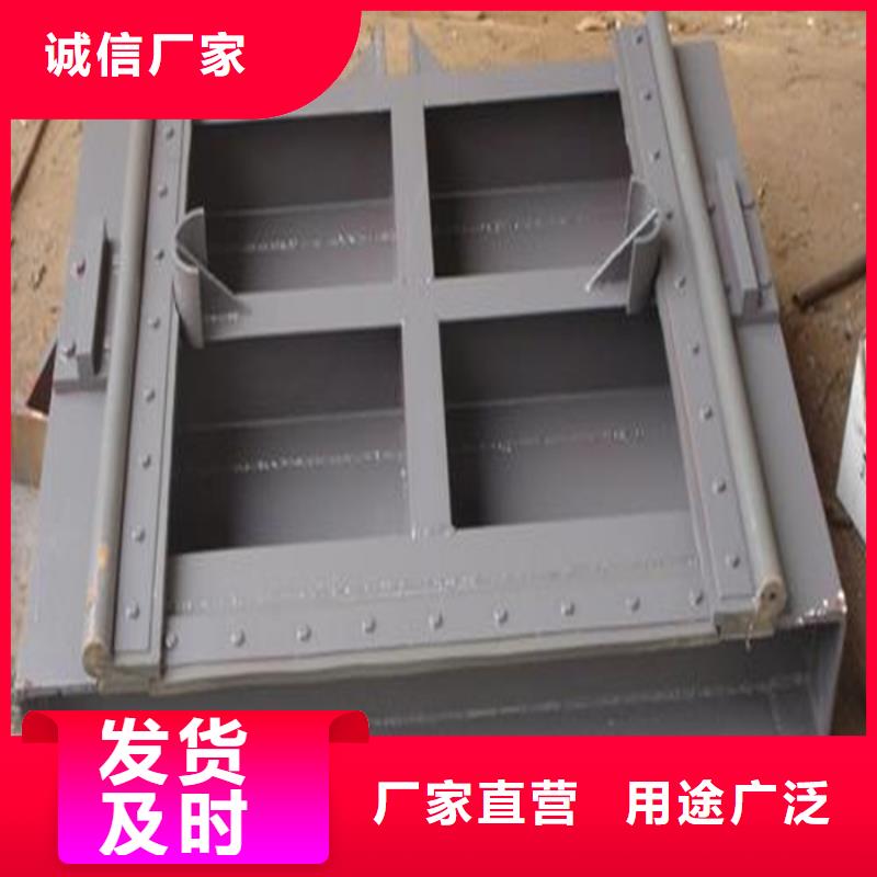 定轮钢制闸门发货就是快