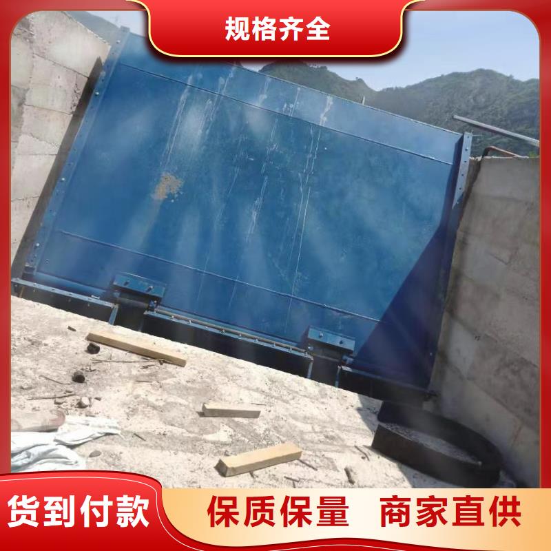 翻板闸门非标定制