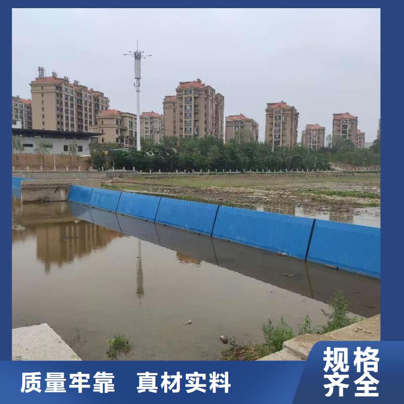 翻板闸门非标定制