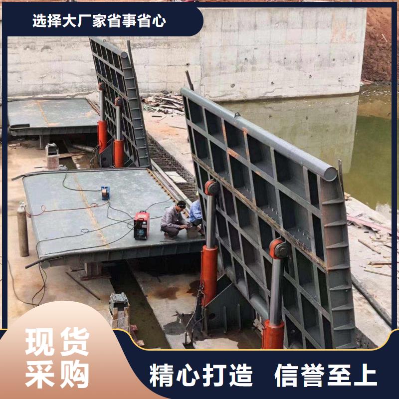 翻板闸门非标定制