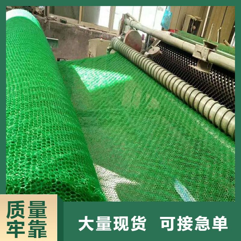 三维植被网_止水铜片现货