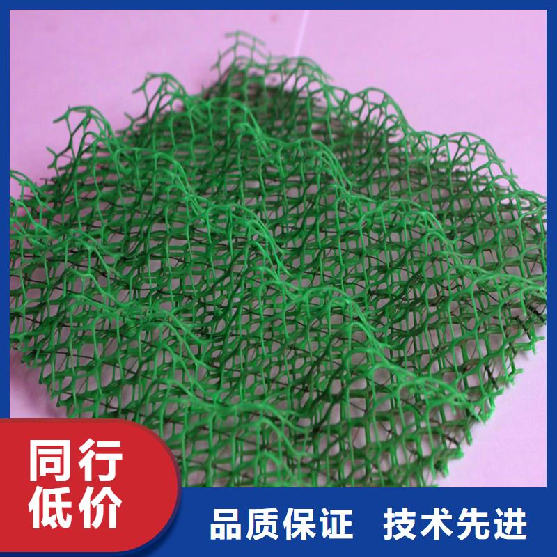 三维土工网垫图片常年批发