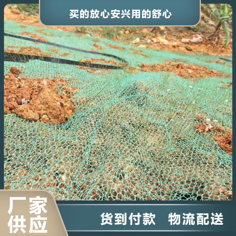 三维土工网垫-三维土工网垫免费寄样