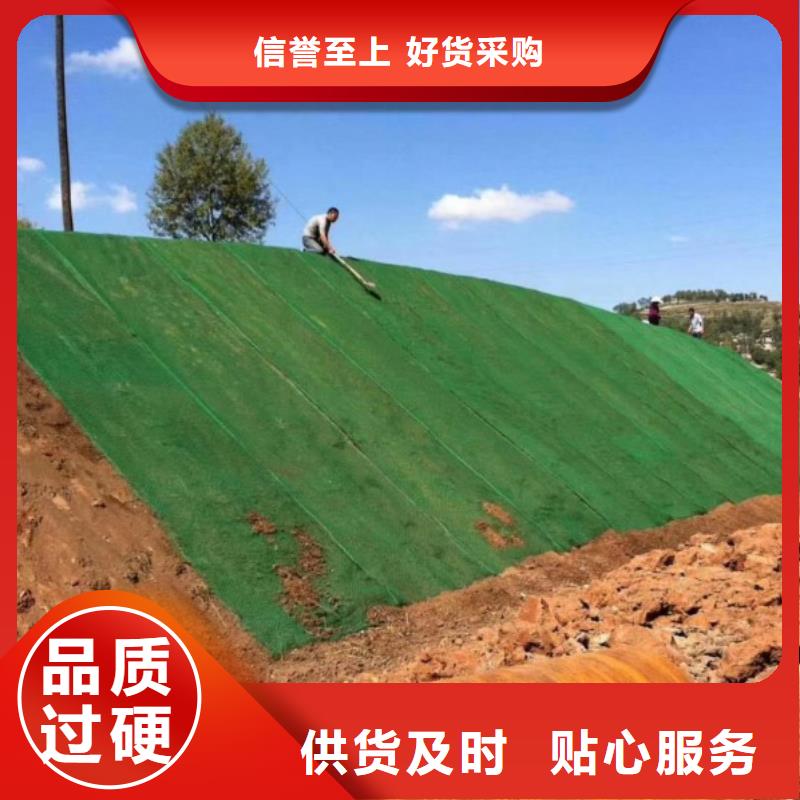 三维土工网垫图片常年批发
