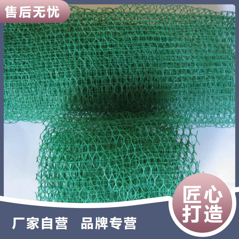 三维植被网_止水铜片现货