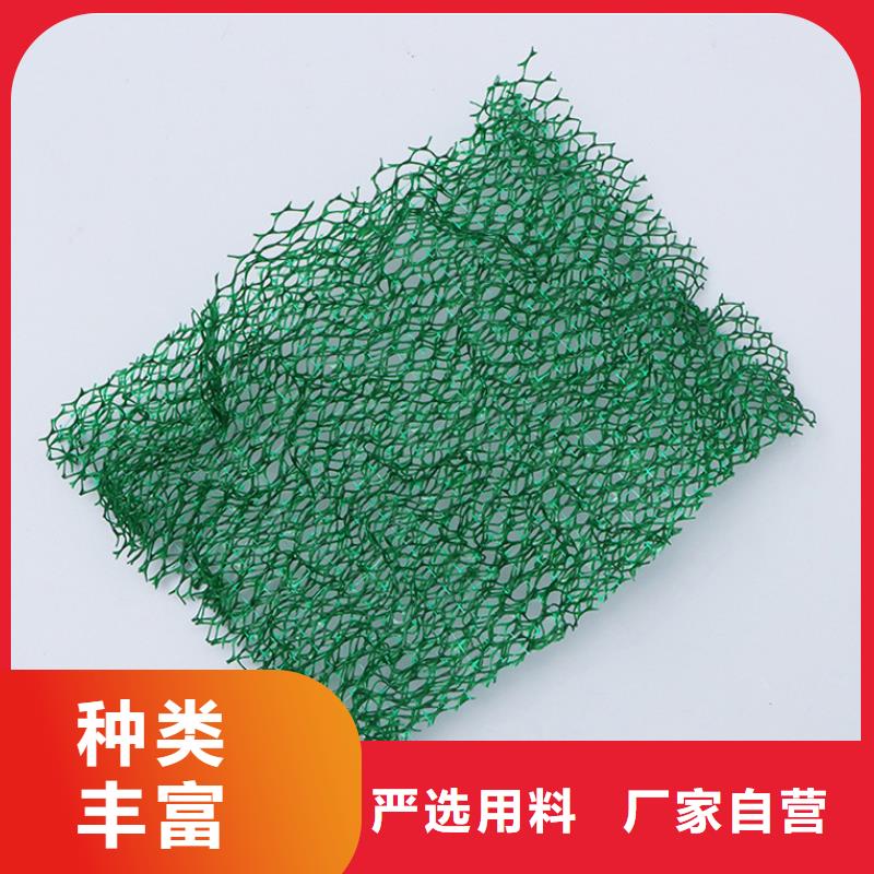 三维土工网垫-三维土工网垫免费寄样