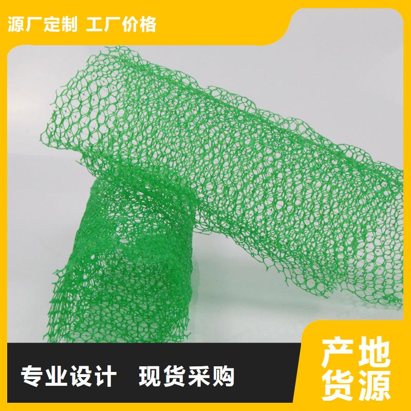 三维土工网垫-三维土工网垫免费寄样