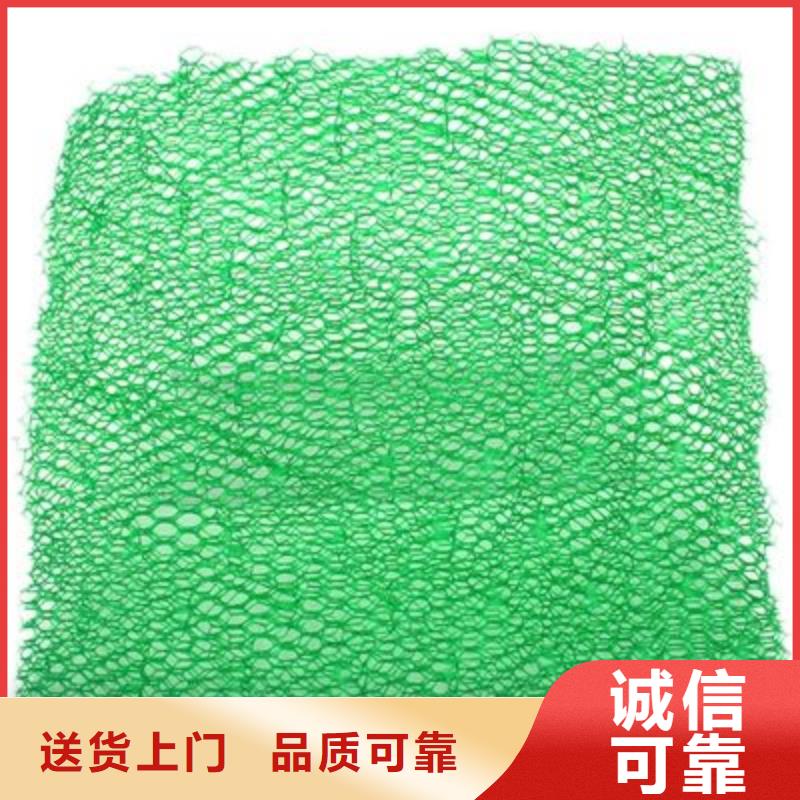 三维土工网垫图片常年批发