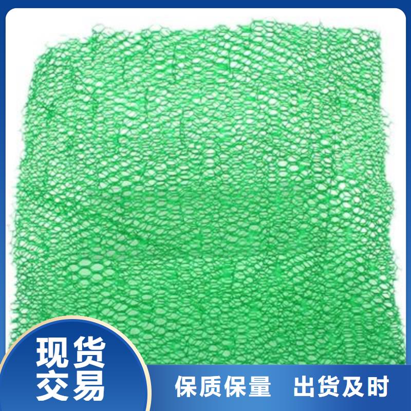 三维土工网垫-三维土工网垫免费寄样