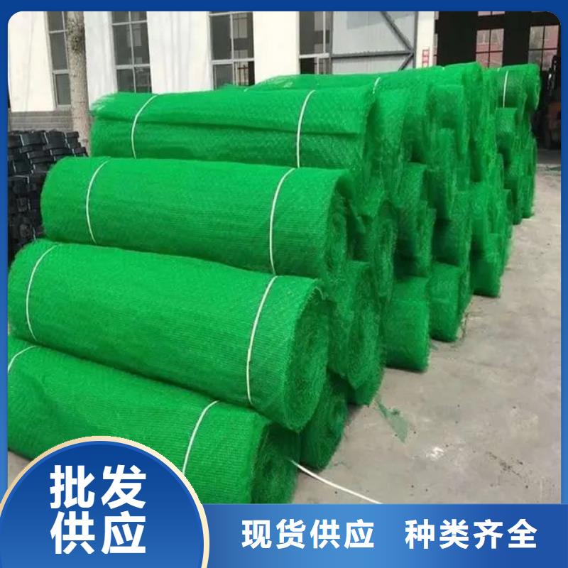 三维植被网_止水铜片现货