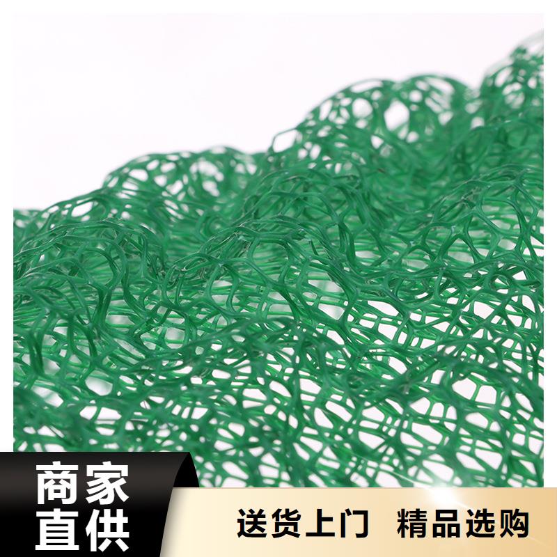 三维植被网_止水铜片现货