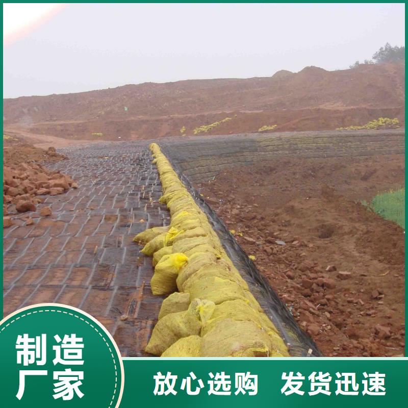 经编土工格栅为您介绍厂家