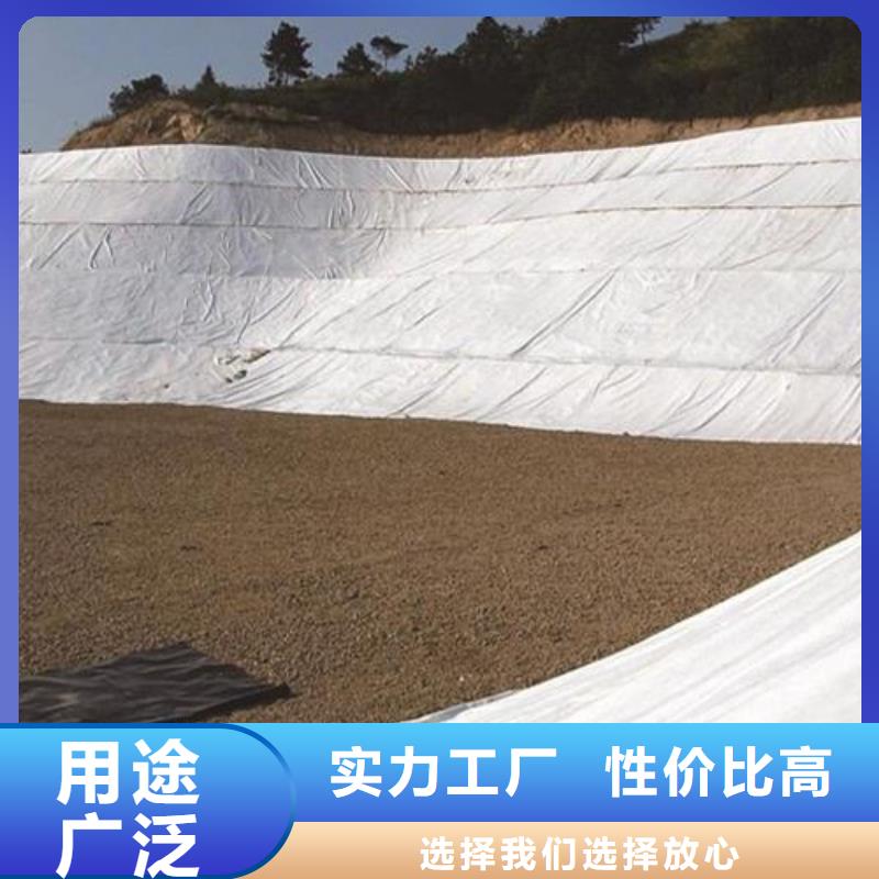 【土工布】铜止水快速发货