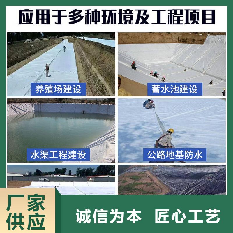 【土工布】铜止水快速发货