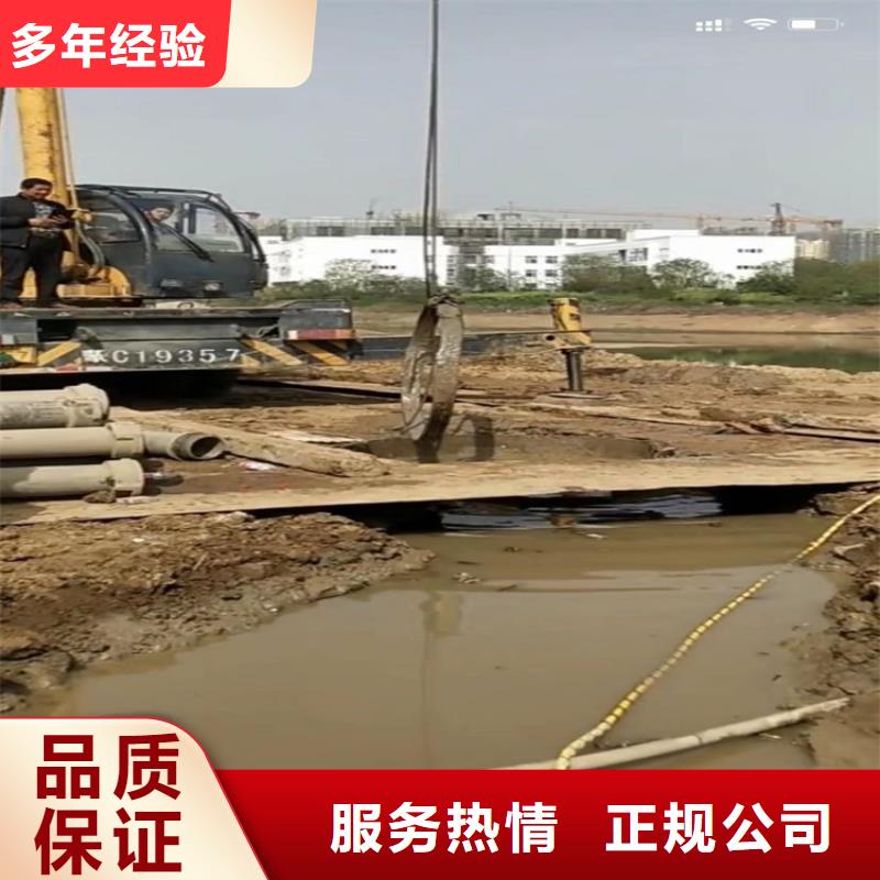 保亭县气囊封堵放心选择