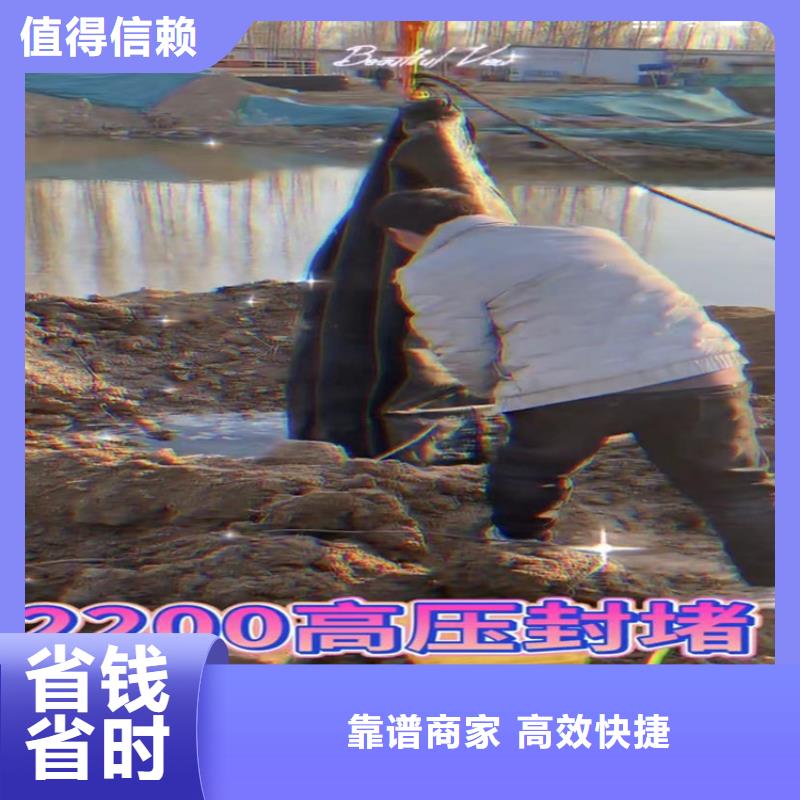 保亭县气囊封堵放心选择
