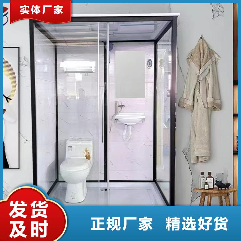 装配式卫浴定制