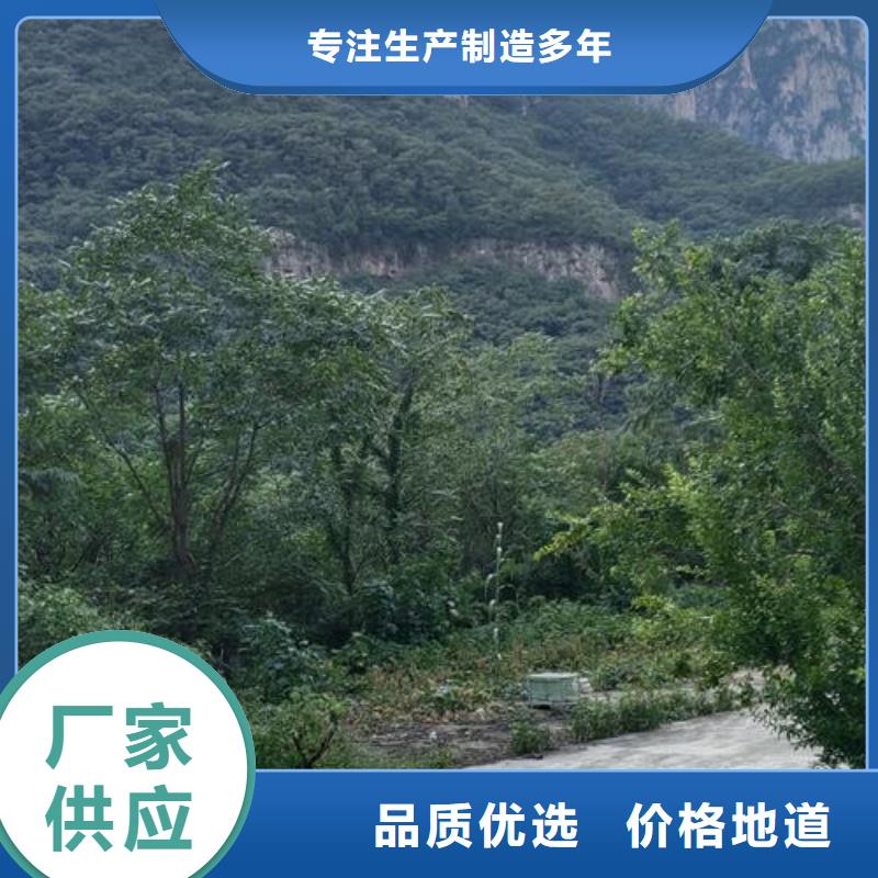 二次结构输送泵混凝土输送泵