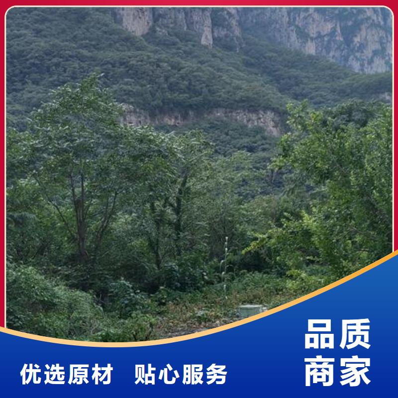 细石混凝土泵晓科机械厂