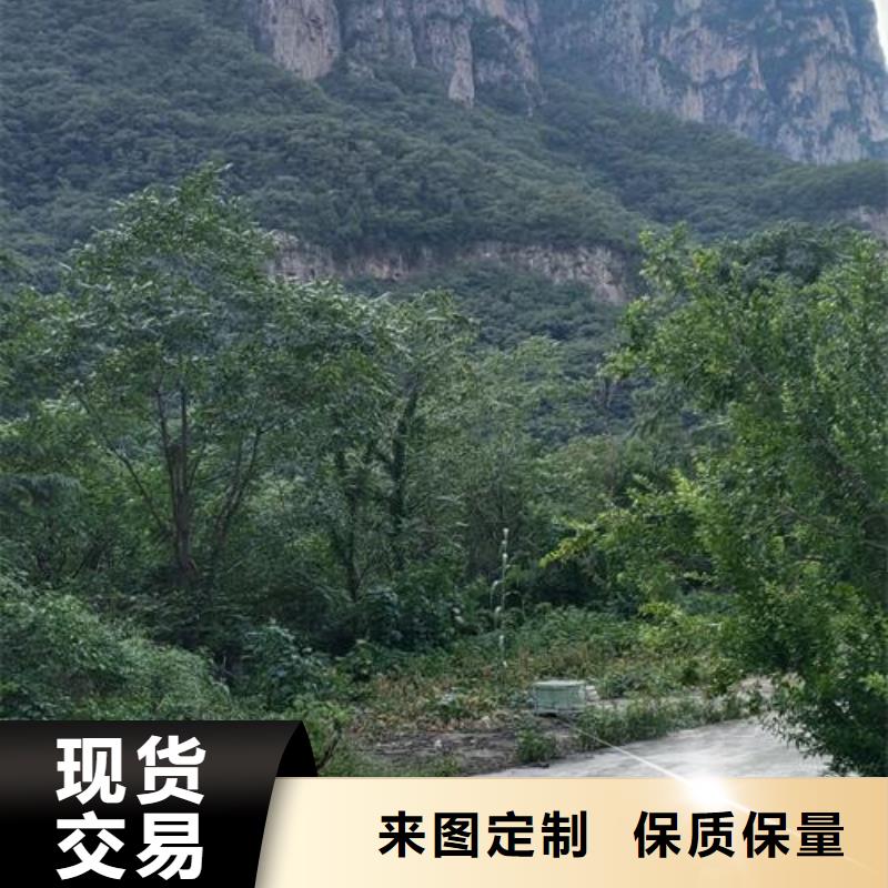 【小型混凝土泵混凝土输送泵用品质说话】