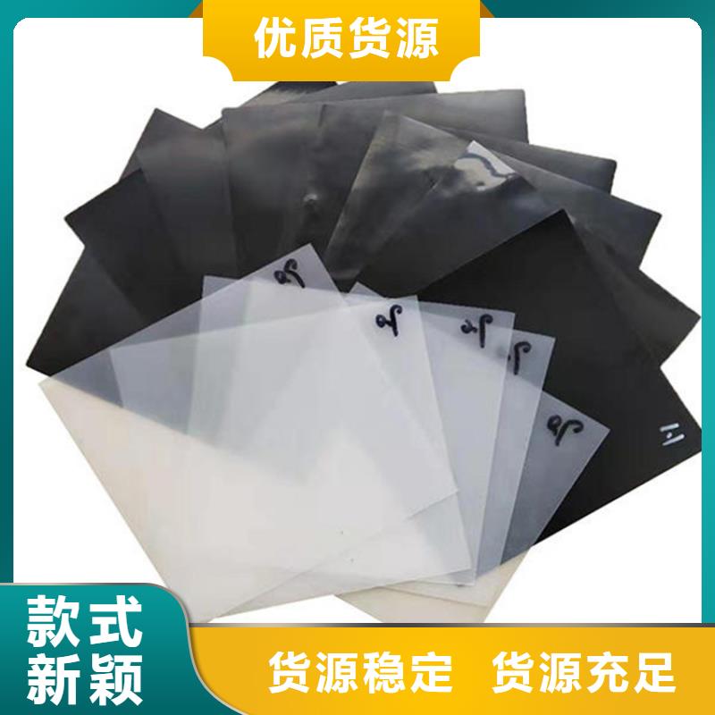 土工膜橡胶支座诚信经营现货现发