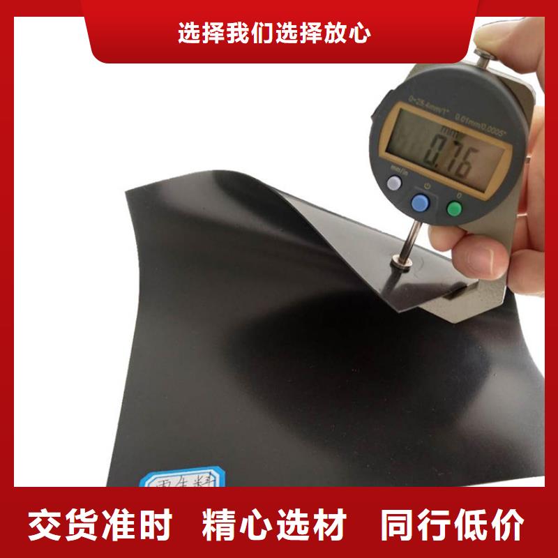 鱼池防渗膜全国发货