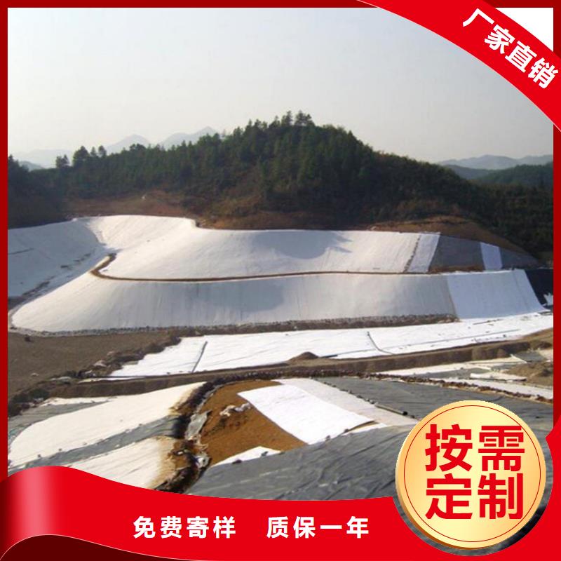 土工膜HDPE土工膜专业品质