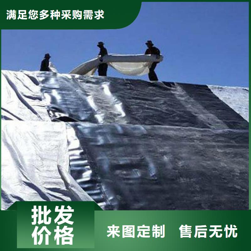 土工膜HDPE土工膜专业品质