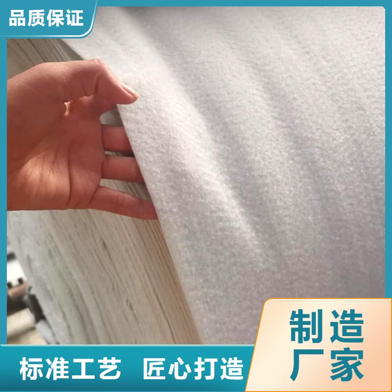 土工布HDPE土工膜品质之选